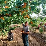 I Doni Del Mandorlo Agroturismo Alguer