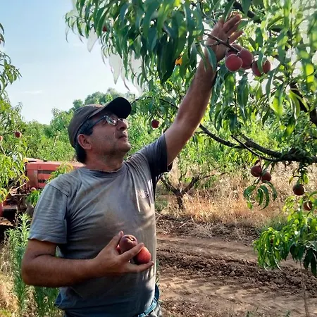Agroturismo I Doni Del Mandorlo *
