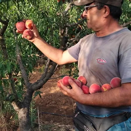 I Doni Del Mandorlo * Альгеро