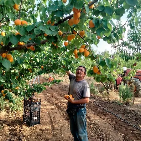 I Doni Del Mandorlo Alojamento de Turismo Rural Alghero